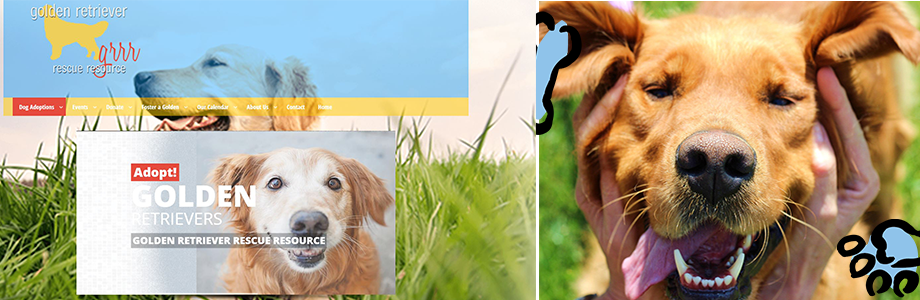 Golden Retriever Rescue Resource website
